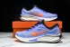 Nike Journey Run FN0228 400 