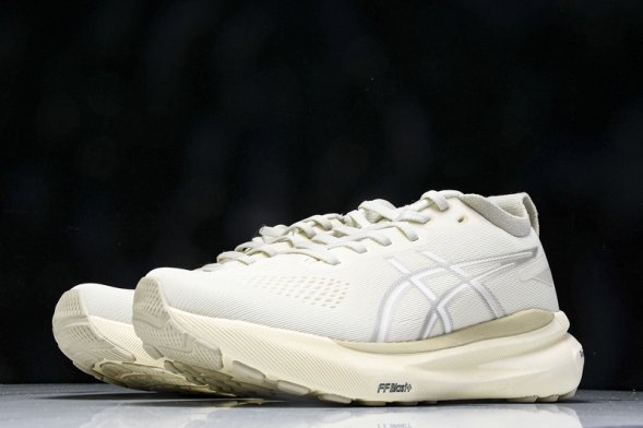 Asics Gel-kayano 31 1011B995-200 