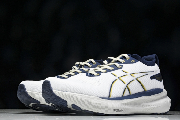 Asics Gel-kayano 31 1011B995-021 