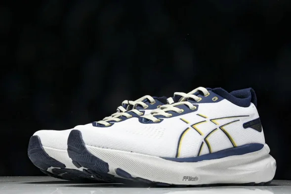 Asics Gel-kayano 31 1011B995-021 