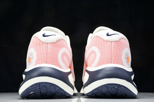 Nike Journey Run FN0228 100 