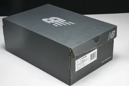 New Balance 1906  M1906RQ 