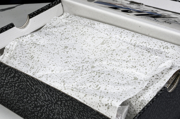 Nike Jordan Spizike Low FQ1759 101 