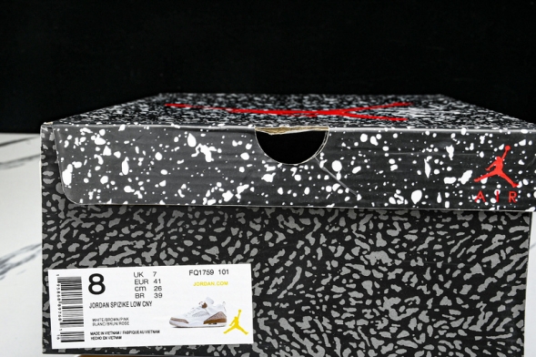 Nike Jordan Spizike Low FQ1759 101 