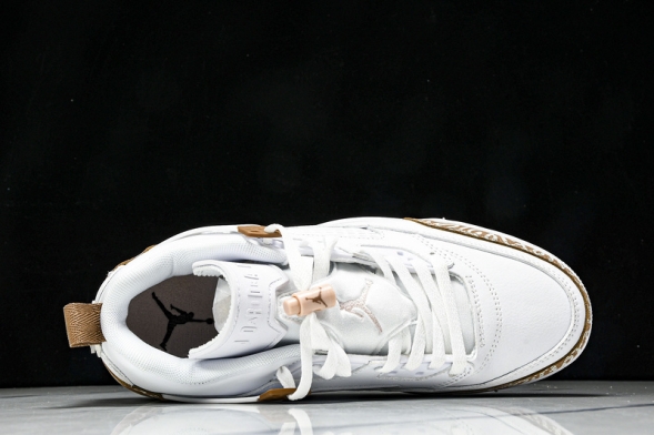 Nike Jordan Spizike Low FQ1759 101 