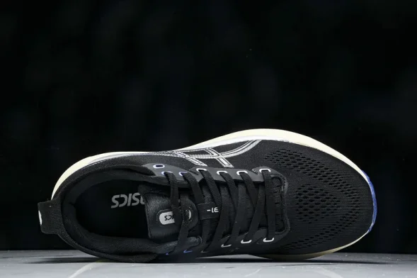 Asics Gel-kayano 31 1011B995-001 
