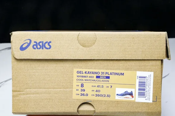 Asics Gel-kayano 31 1011B867-402 