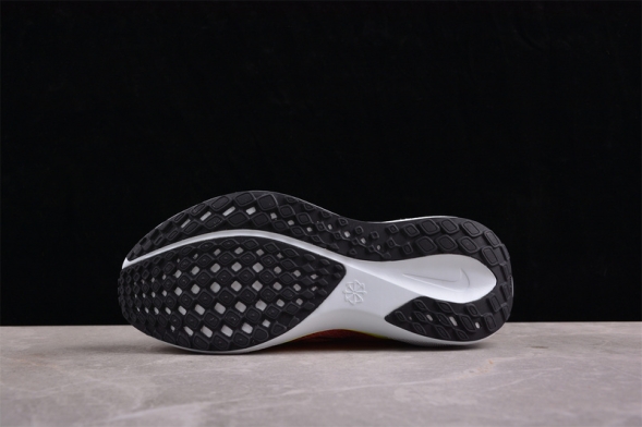 Nike Air Zoom Pegasus 41 FD2722-100 