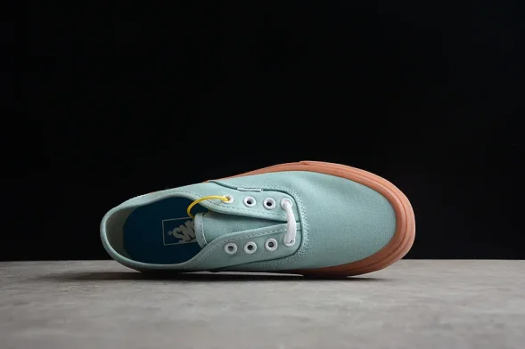 Vans Authentic VN0A2Z5118G 