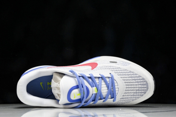 Nike Journey Run FJ7765-107 