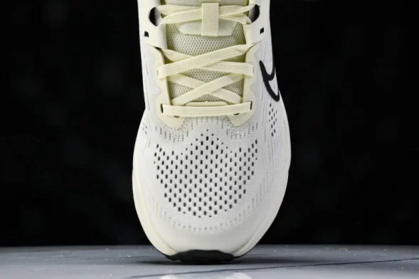 Nike Quest 6 FD6033-104 