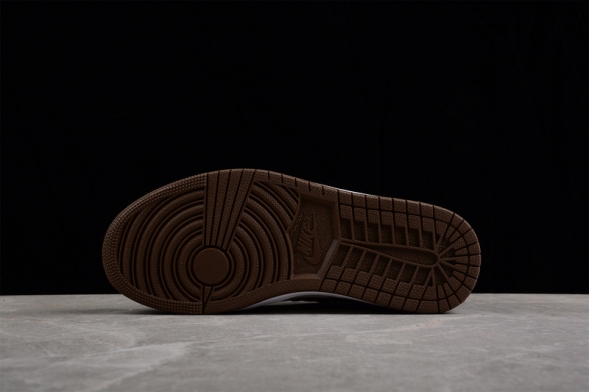 Nike Air Jordan 1 low Mocha Toe DV0426-301 