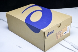 Asics Gel-kayano 31 1011B995-001