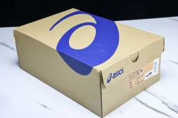 Asics Gel-kayano 31 1011B995-001
