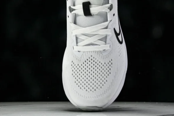 Nike Quest 6 FD6033-100 