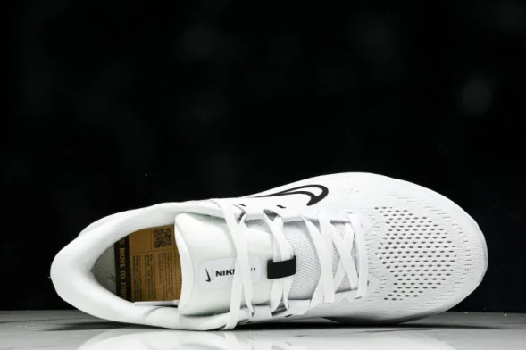 Nike Quest 6 FD6033-100 