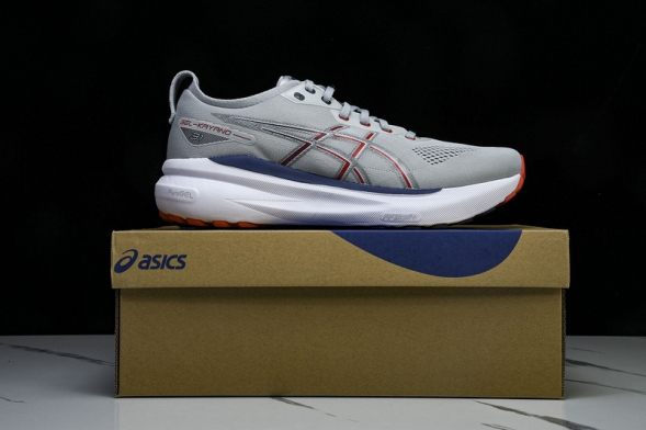 Asics Gel-kayano 31 1011B867-021 