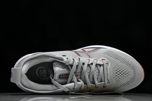 Asics Gel-kayano 31 1011B867-021 