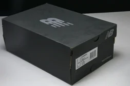 New Balance 1906 M1906RQA