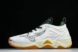 Mizuno Wave Momentum V1GA231244