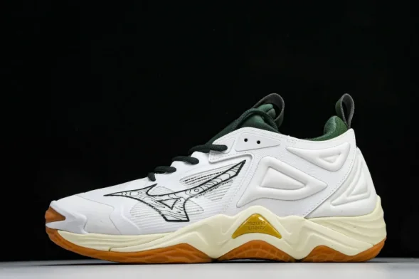 Mizuno Wave Momentum V1GA231244 