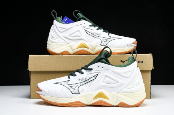 Mizuno Wave Momentum V1GA231244 