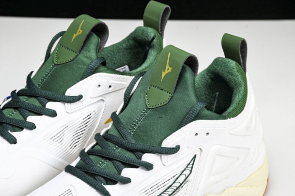 Mizuno Wave Momentum V1GA231244 