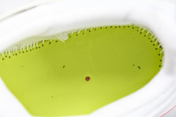 Mizuno Wave Momentum V1GC231237 