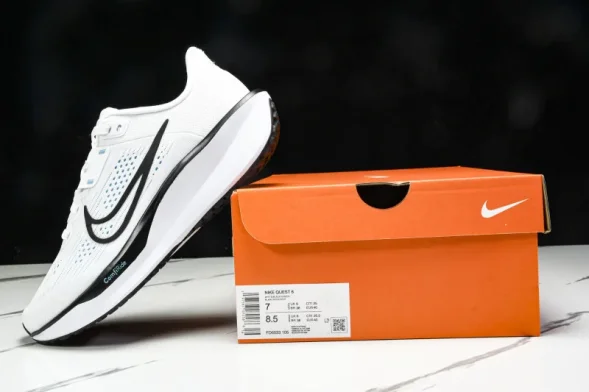Nike Quest 6 FD6033-105 