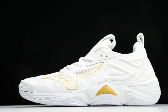 Mizuno Wave Momentum V1GA231245 