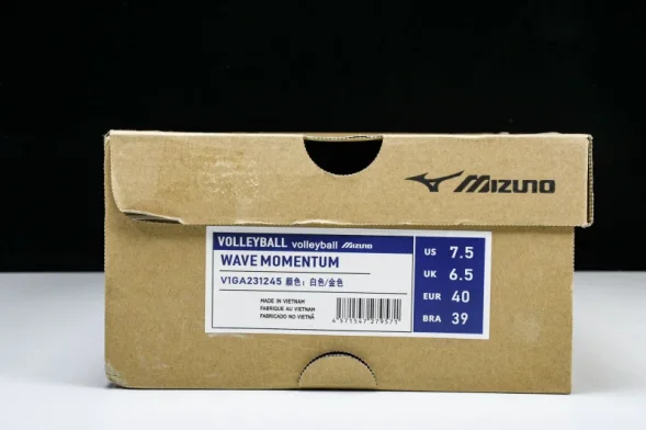 Mizuno Wave Momentum V1GA231245 