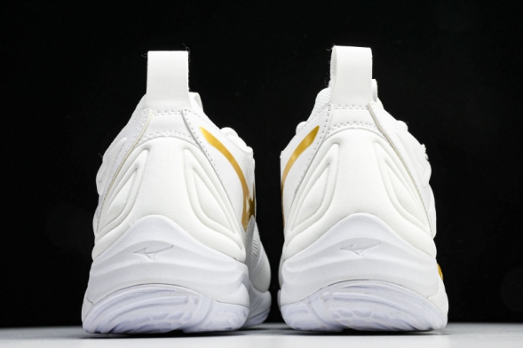 Mizuno Wave Momentum V1GA231245 