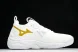 Mizuno Wave Momentum V1GA231245 