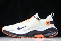 Nike ReactX Infinity RN 4 Gore-TEX FB2204-002