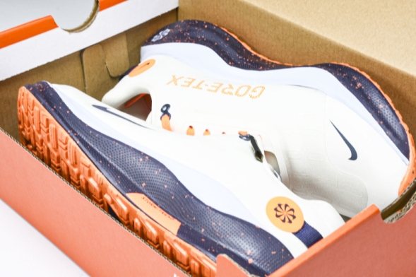 Nike ReactX Infinity RN 4 Gore-TEX FB2204-002 