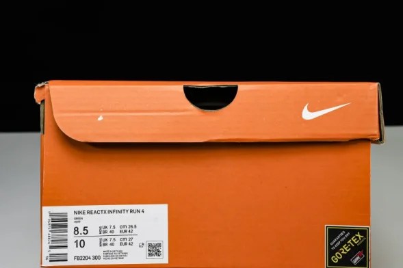 Nike ReactX Infinity RN 4 Gore-TEX FB2204-300 