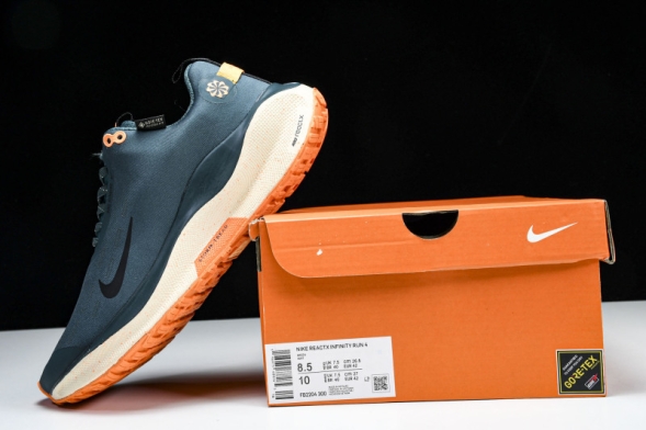 Nike ReactX Infinity RN 4 Gore-TEX FB2204-300 