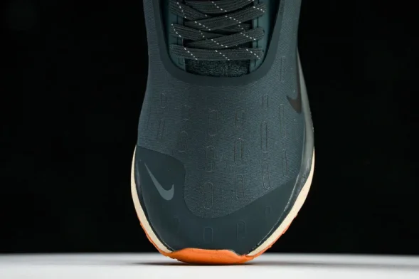 Nike ReactX Infinity RN 4 Gore-TEX FB2204-300 