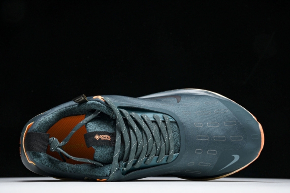 Nike ReactX Infinity RN 4 Gore-TEX FB2204-300 