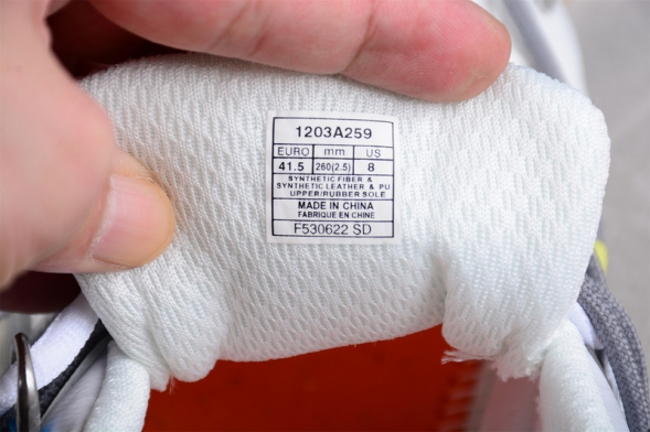 Asics Gel-Kahana TR V2 1203A259-100 