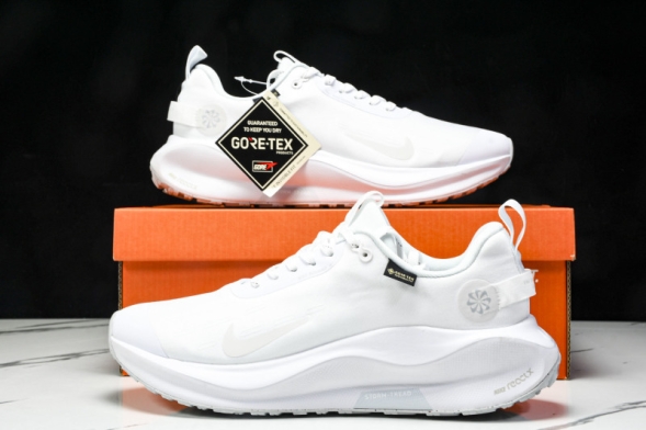 Nike ReactX Infinity RN 4 Gore-TEX FB2204-101 