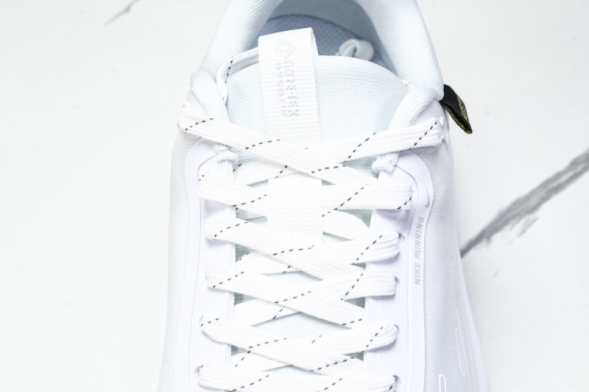 Nike ReactX Infinity RN 4 Gore-TEX FB2204-101 