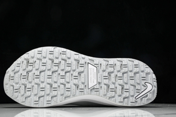 Nike ReactX Infinity RN 4 Gore-TEX FB2204-101 