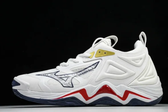 Mizuno Wave Momentum V1GB241346 