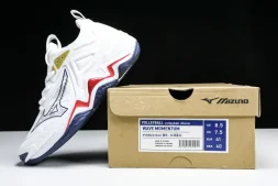 Mizuno Wave Momentum V1GB241346