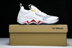 Mizuno Wave Momentum V1GB241346