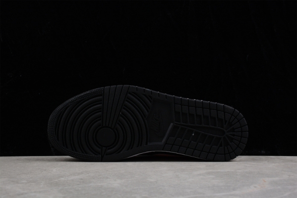 Nike Air Jordan 1 low 553558-062 