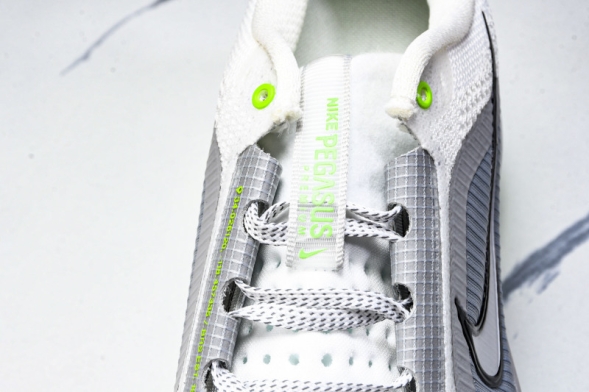 Nike Air Zoom Pegasus Premium HQ2593-009 