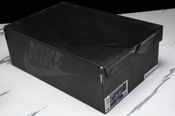 Nike ACG Mountain Fly 2 Low SP FZ3311-101 
