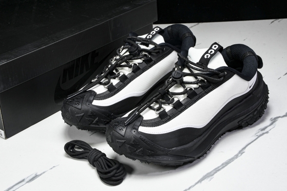 Nike ACG Mountain Fly 2 Low SP FZ3311-101 